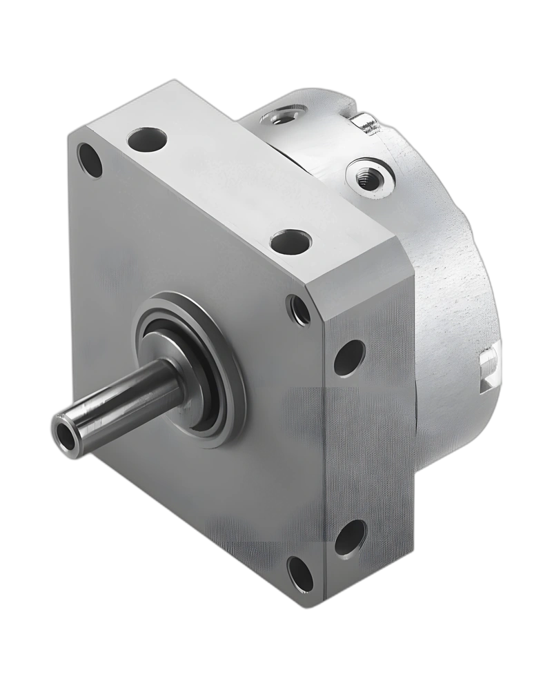 Semi-rotary drive DSM - Semi-rotary drive image 2