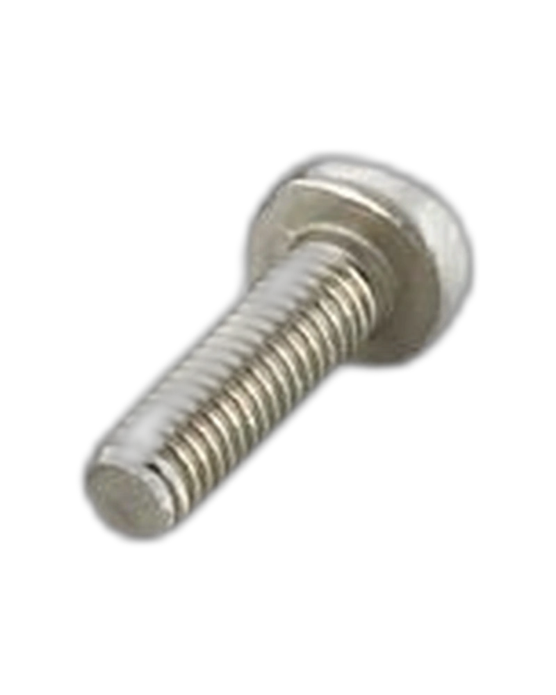 E12584 - Non-removable screw - 10x One way screw M4x20 image 2
