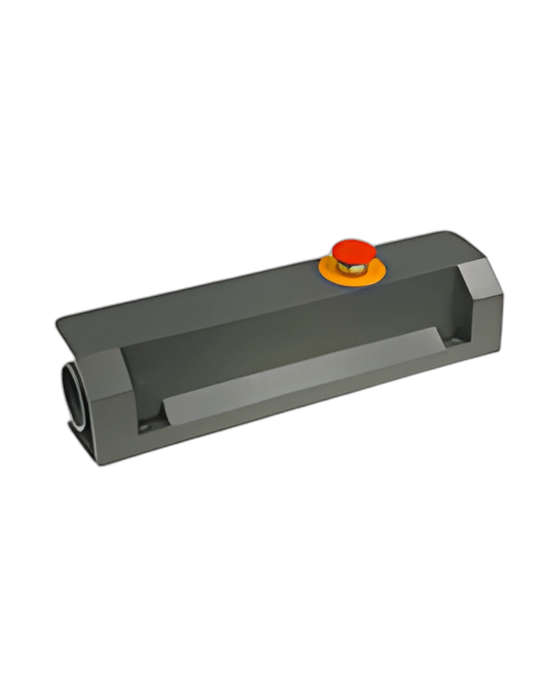 Two Hand Safety Valve Series SAFE AIR