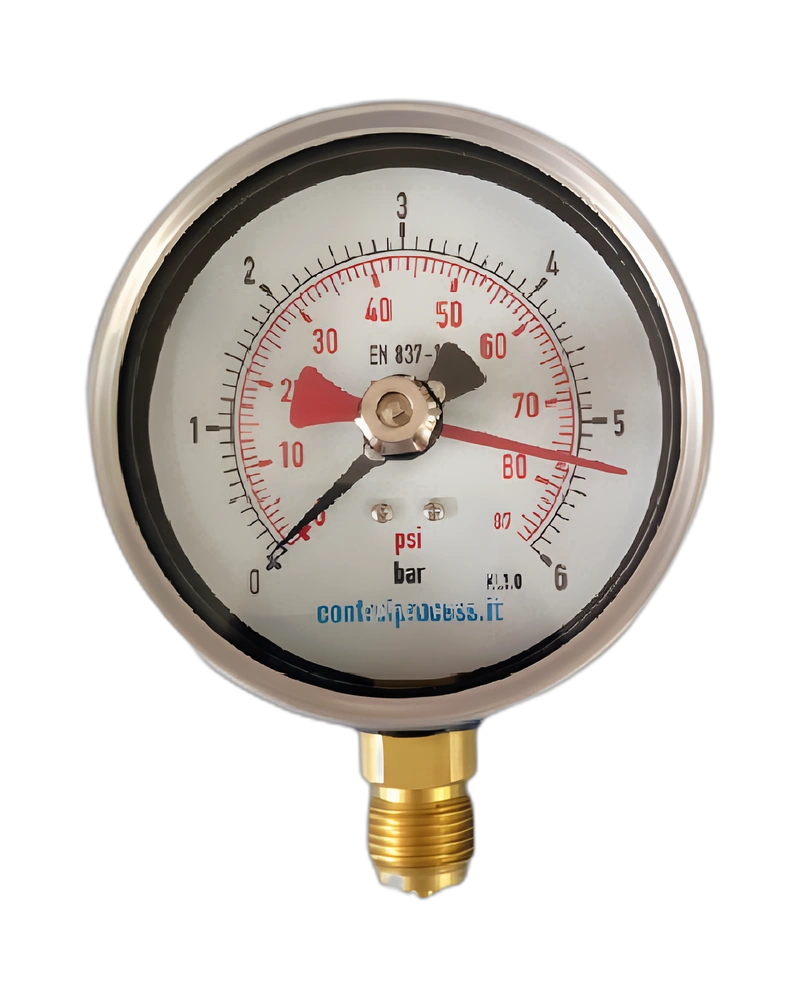 Check valves