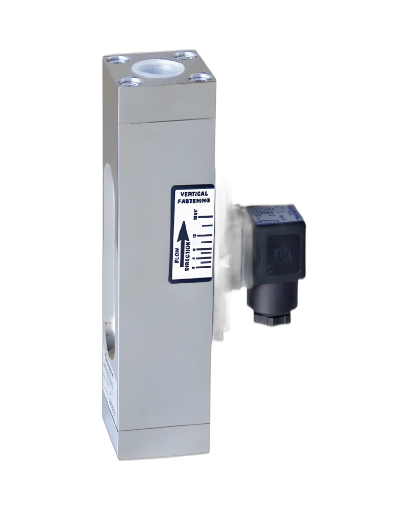 IF1VE1/IM10SC - Adjustable Visual and Electric Flow meter