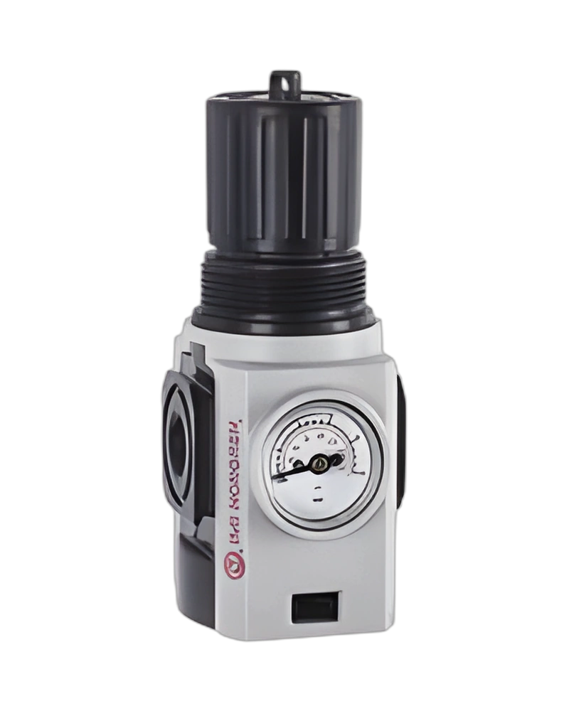 Excelon Plus Reverse Flow Regulator, 1/4" NPT, 0.7-17 bar, integrated gaugeRegulator: R82R-2AT-RSG