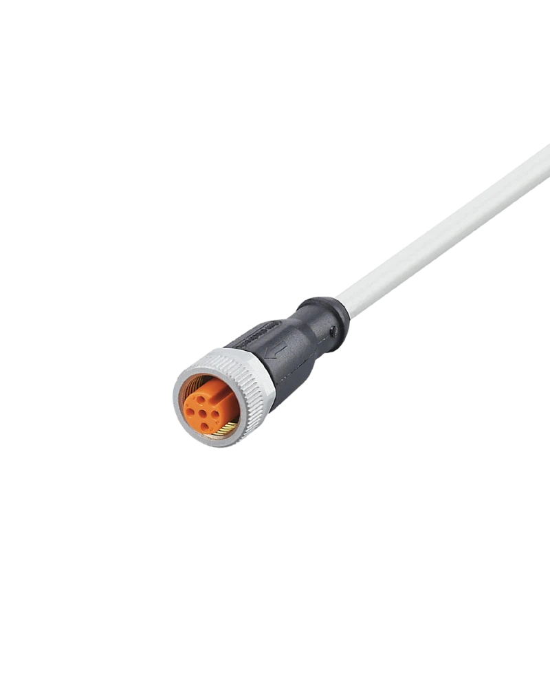 EVW169 - Connecting cable with socket - ADOGH046SCS0010T04